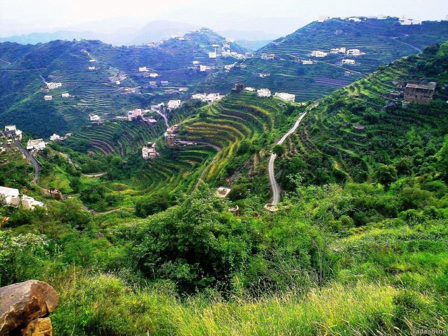 Southern Region